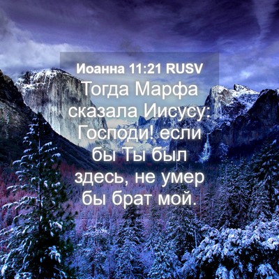Picture 04 - Иоанна 11:21 RUSV - Тогда Марфа сказала - Bible Verse Picture