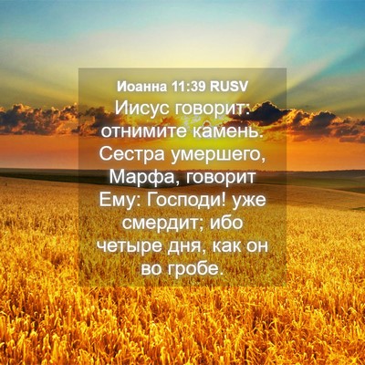 Picture 04 - Иоанна 11:39 RUSV - Иисус говорит: отнимите - Bible Verse Picture