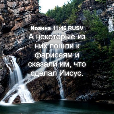 Picture 04 - Иоанна 11:46 RUSV - А некоторые из них пошли к - Bible Verse Picture