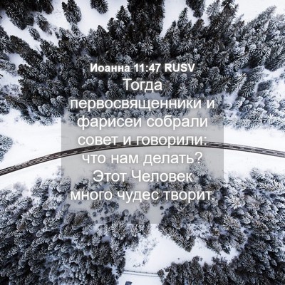 Picture 04 - Иоанна 11:47 RUSV - Тогда первосвященники и - Bible Verse Picture
