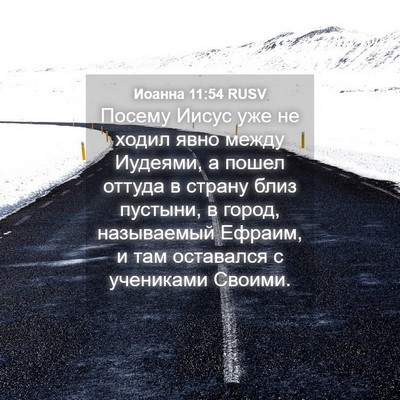 Picture 04 - Иоанна 11:54 RUSV - Посему Иисус уже не ходил - Bible Verse Picture