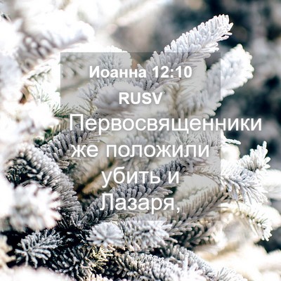 Picture 04 - Иоанна 12:10 RUSV - Первосвященники же - Bible Verse Picture