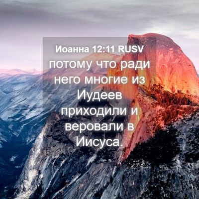 Picture 04 - Иоанна 12:11 RUSV - потому что ради него - Bible Verse Picture
