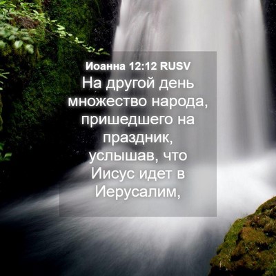 Picture 04 - Иоанна 12:12 RUSV - На другой день множество - Bible Verse Picture