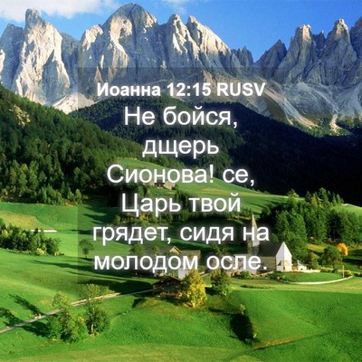 Picture 04 - Иоанна 12:15 RUSV - Не бойся, дщерь Сионова! се, - Bible Verse Picture