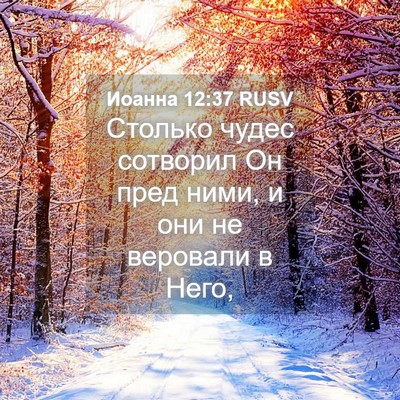 Picture 04 - Иоанна 12:37 RUSV - Столько чудес сотворил Он - Bible Verse Picture