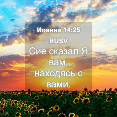Picture 04 - Иоанна 14:25 RUSV - Сие сказал Я вам, находясь - Bible Verse Picture