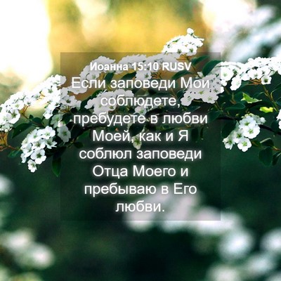 Picture 04 - Иоанна 15:10 RUSV - Если заповеди Мои - Bible Verse Picture