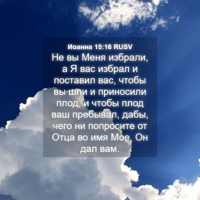 Picture 04 - Иоанна 15:16 RUSV - Не вы Меня избрали, а Я вас - Bible Verse Picture