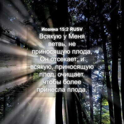 Picture 04 - Иоанна 15:2 RUSV - Всякую у Меня ветвь, не - Bible Verse Picture