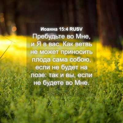Picture 04 - Иоанна 15:4 RUSV - Пребудьте во Мне, и Я в вас. - Bible Verse Picture