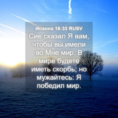 Picture 04 - Иоанна 16:33 RUSV - Сие сказал Я вам, чтобы вы - Bible Verse Picture