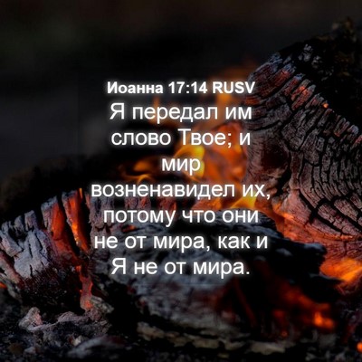 Picture 04 - Иоанна 17:14 RUSV - Я передал им слово Твое; и - Bible Verse Picture