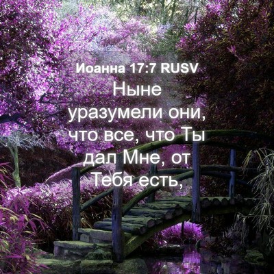 Picture 04 - Иоанна 17:7 RUSV - Ныне уразумели они, что - Bible Verse Picture