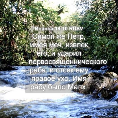 Picture 04 - Иоанна 18:10 RUSV - Симон же Петр, имея меч, - Bible Verse Picture