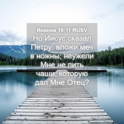 Picture 04 - Иоанна 18:11 RUSV - Но Иисус сказал Петру: - Bible Verse Picture