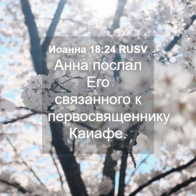 Picture 04 - Иоанна 18:24 RUSV - Анна послал Его связанного - Bible Verse Picture