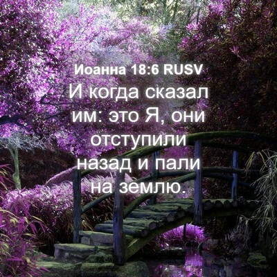 Picture 04 - Иоанна 18:6 RUSV - И когда сказал им: это Я, - Bible Verse Picture