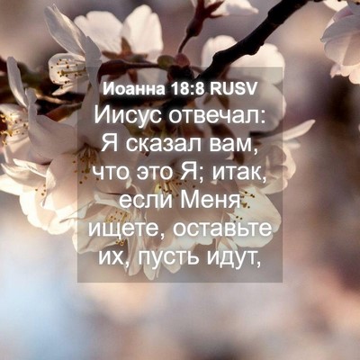 Picture 04 - Иоанна 18:8 RUSV - Иисус отвечал: Я сказал - Bible Verse Picture