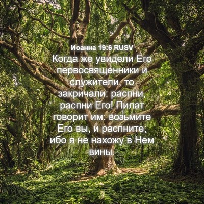 Picture 04 - Иоанна 19:6 RUSV - Когда же увидели Его - Bible Verse Picture