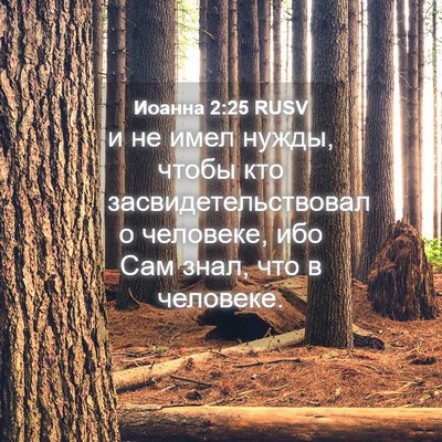 Picture 04 - Иоанна 2:25 RUSV - и не имел нужды, чтобы кто - Bible Verse Picture