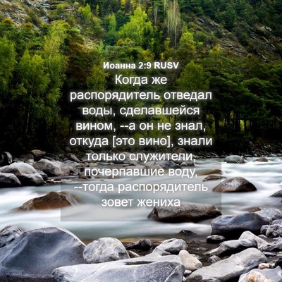 Picture 04 - Иоанна 2:9 RUSV - Когда же распорядитель - Bible Verse Picture