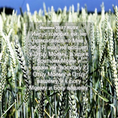 Picture 04 - Иоанна 20:17 RUSV - Иисус говорит ей: не - Bible Verse Picture