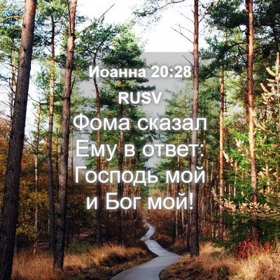 Picture 04 - Иоанна 20:28 RUSV - Фома сказал Ему в ответ: - Bible Verse Picture