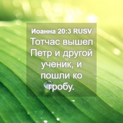 Picture 04 - Иоанна 20:3 RUSV - Тотчас вышел Петр и другой - Bible Verse Picture
