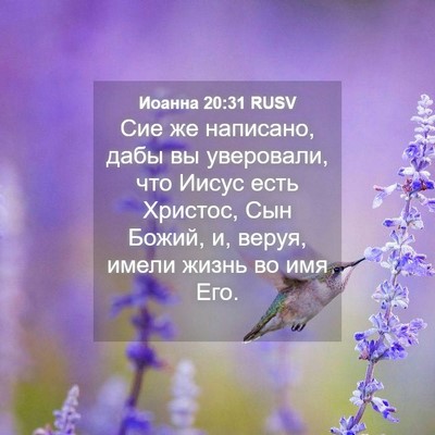 Picture 04 - Иоанна 20:31 RUSV - Сие же написано, дабы вы - Bible Verse Picture