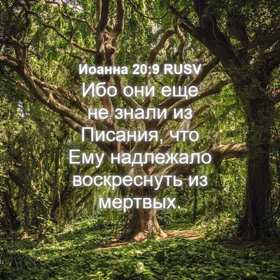 Picture 04 - Иоанна 20:9 RUSV - Ибо они еще не знали из - Bible Verse Picture