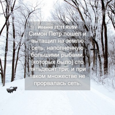 Picture 04 - Иоанна 21:11 RUSV - Симон Петр пошел и вытащил - Bible Verse Picture