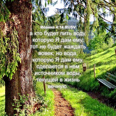 Picture 04 - Иоанна 4:14 RUSV - а кто будет пить воду, - Bible Verse Picture