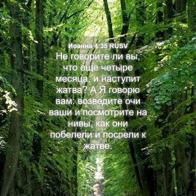 Picture 04 - Иоанна 4:35 RUSV - Не говорите ли вы, что еще - Bible Verse Picture
