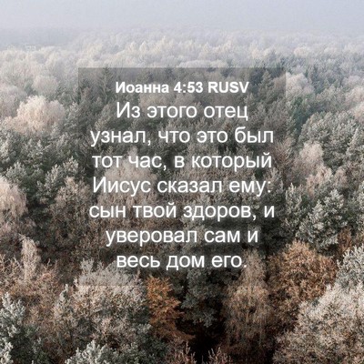 Picture 04 - Иоанна 4:53 RUSV - Из этого отец узнал, что - Bible Verse Picture