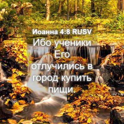 Picture 04 - Иоанна 4:8 RUSV - Ибо ученики Его отлучились - Bible Verse Picture