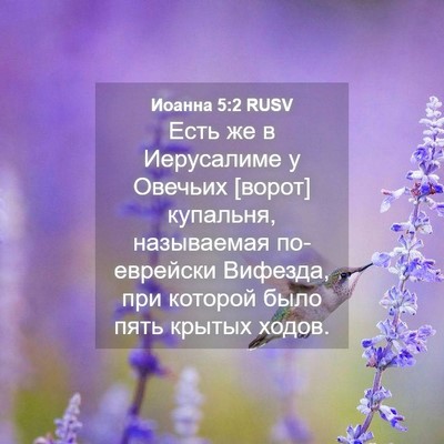 Picture 04 - Иоанна 5:2 RUSV - Есть же в Иерусалиме у - Bible Verse Picture