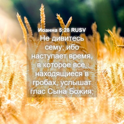 Picture 04 - Иоанна 5:28 RUSV - Не дивитесь сему; ибо - Bible Verse Picture