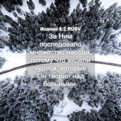 Picture 04 - Иоанна 6:2 RUSV - За Ним последовало - Bible Verse Picture