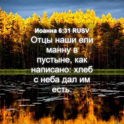 Picture 04 - Иоанна 6:31 RUSV - Отцы наши ели манну в - Bible Verse Picture