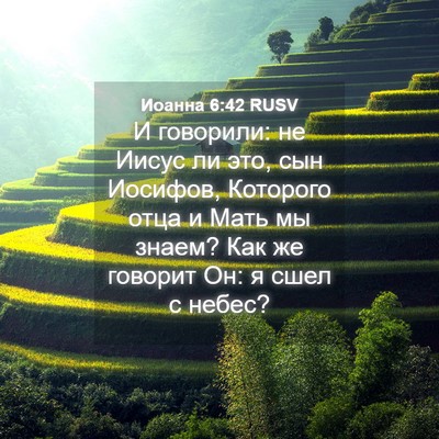 Picture 04 - Иоанна 6:42 RUSV - И говорили: не Иисус ли это, - Bible Verse Picture