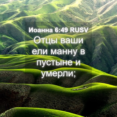 Picture 04 - Иоанна 6:49 RUSV - Отцы ваши ели манну в - Bible Verse Picture