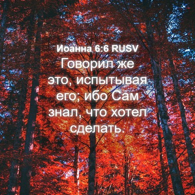 Picture 04 - Иоанна 6:6 RUSV - Говорил же это, испытывая - Bible Verse Picture