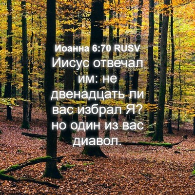 Picture 04 - Иоанна 6:70 RUSV - Иисус отвечал им: не - Bible Verse Picture