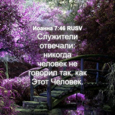 Picture 04 - Иоанна 7:46 RUSV - Служители отвечали: - Bible Verse Picture