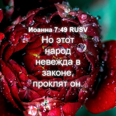 Picture 04 - Иоанна 7:49 RUSV - Но этот народ невежда в - Bible Verse Picture