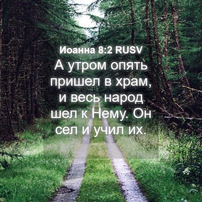 Picture 04 - Иоанна 8:2 RUSV - А утром опять пришел в - Bible Verse Picture