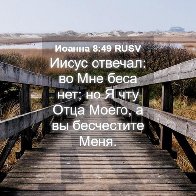 Picture 04 - Иоанна 8:49 RUSV - Иисус отвечал: во Мне беса - Bible Verse Picture