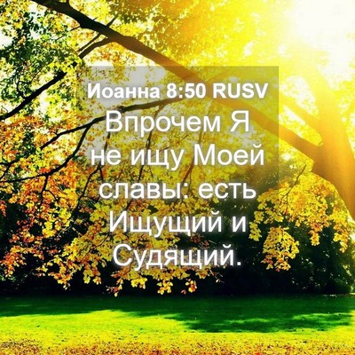 Picture 04 - Иоанна 8:50 RUSV - Впрочем Я не ищу Моей - Bible Verse Picture