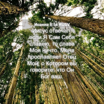Picture 04 - Иоанна 8:54 RUSV - Иисус отвечал: если Я Сам - Bible Verse Picture